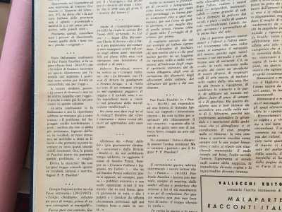 Il mensile dedicava spazio ai nuovi scrittori e si occupava di inchieste, recensioni e saggi di critica letteraria. Domenico vi teneva la rubrica lo �Zoo letterario�